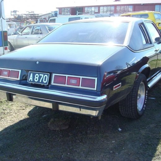 crop-fornbilask_2009__44_