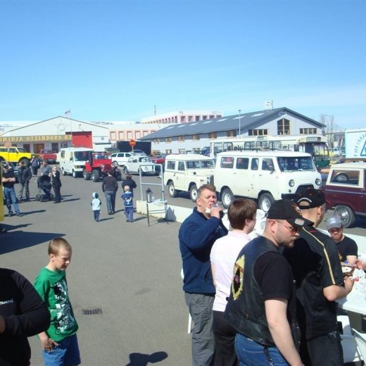 crop-fornbilask_2009__4_