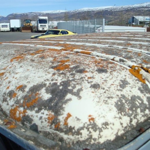 crop-fornbilask_2009__50_