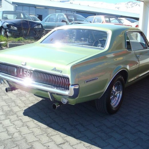 crop-fornbilask_2009__52_