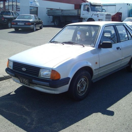 crop-fornbilask_2009__54_