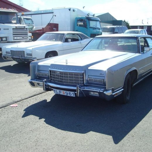 crop-fornbilask_2009__55_