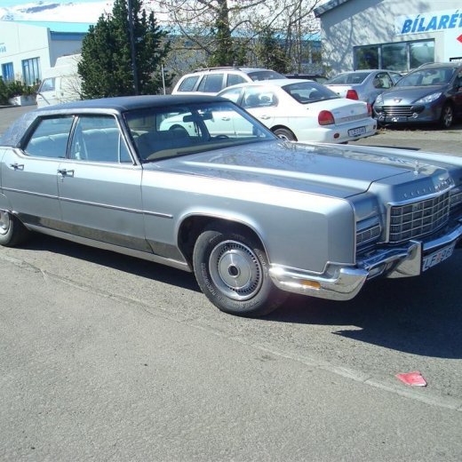 crop-fornbilask_2009__57_