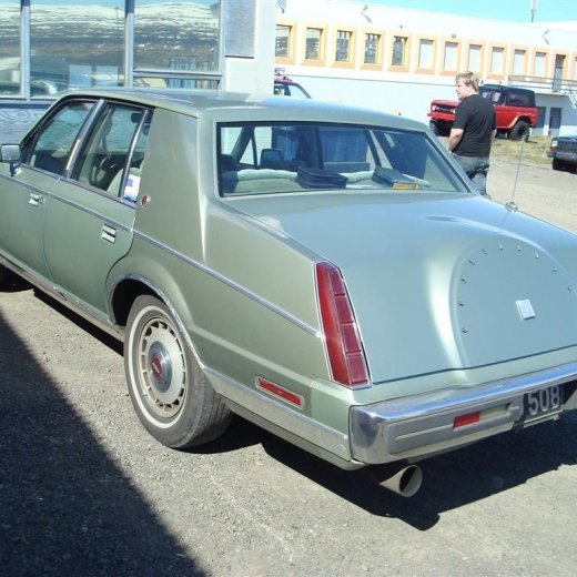 crop-fornbilask_2009__58_