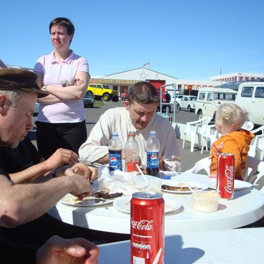 crop-fornbilask_2009__5_