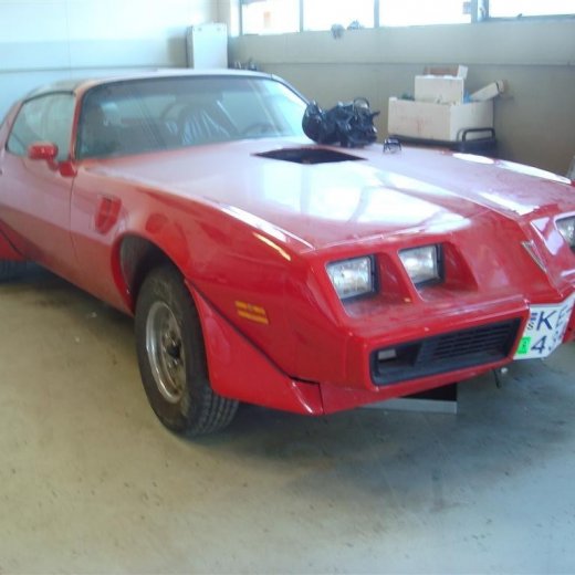 crop-fornbilask_2009__60_