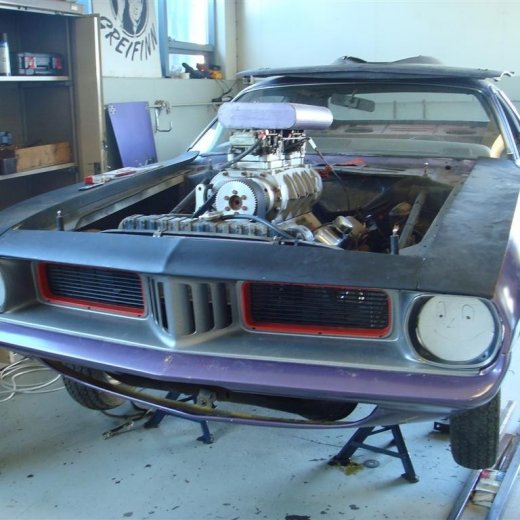 crop-fornbilask_2009__61_