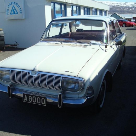 crop-fornbilask_2009__66_