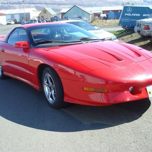 crop-fornbilask_2009__69_