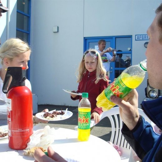 crop-fornbilask_2009__6_