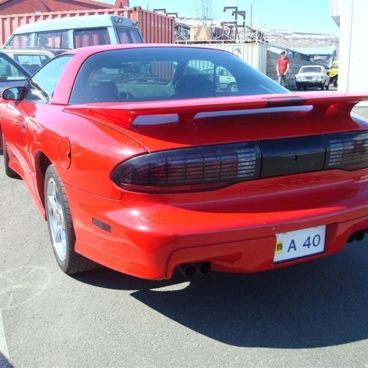 crop-fornbilask_2009__70_