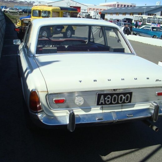 crop-fornbilask_2009__71_