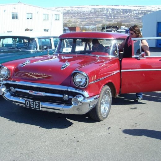 crop-fornbilask_2009__72_