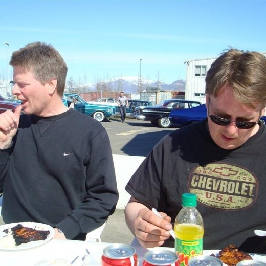 crop-fornbilask_2009__7_