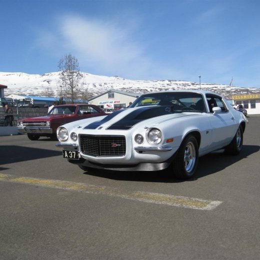 crop-img_0190__large_