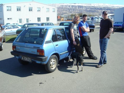 fornbilask_2009__23_