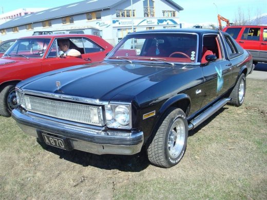 fornbilask_2009__46_