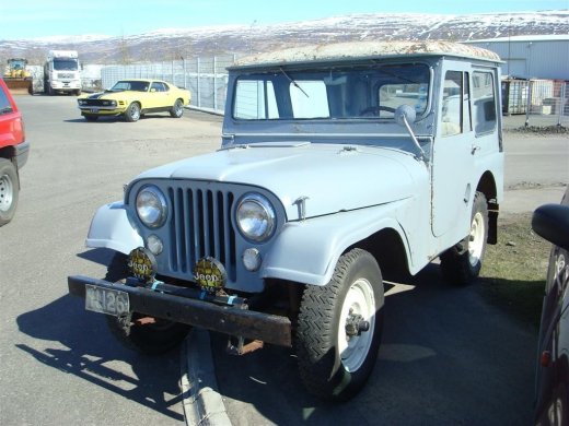 fornbilask_2009__49_