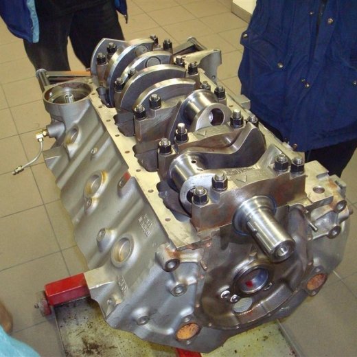 crop-16.12.2009_006__large_