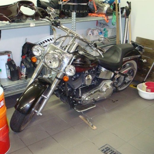 crop-16.12.2009_008__large_