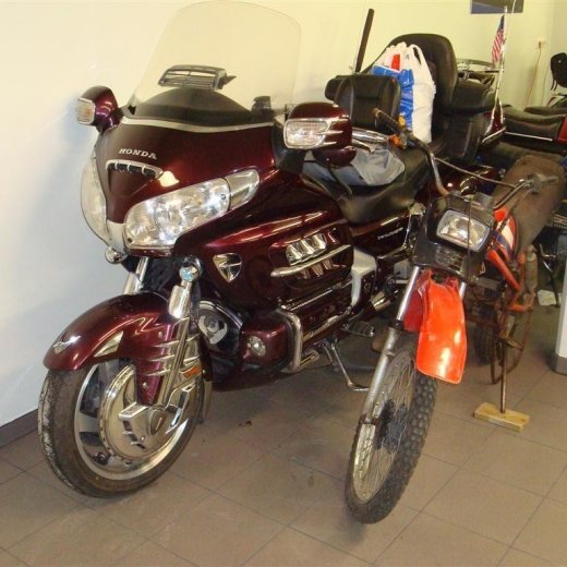 crop-16.12.2009_009__large_