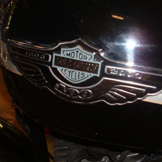 crop-16.12.2009_011__large_