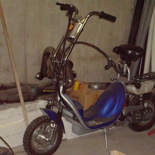 crop-16.12.2009_012__large_