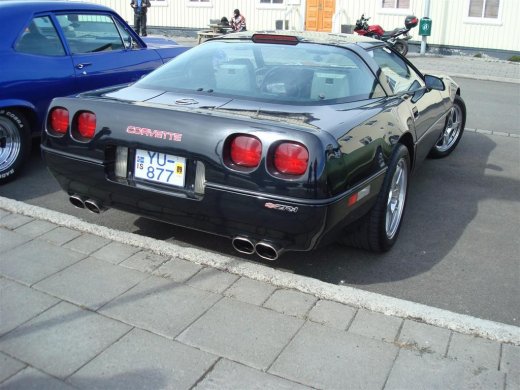 23.04.2009_015__large_