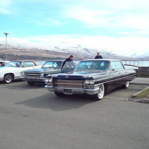 crop-23.04.2009_003__large_