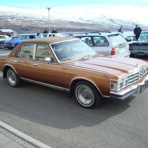 crop-23.04.2009_005__large_