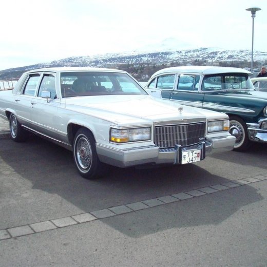 crop-23.04.2009_009__large_