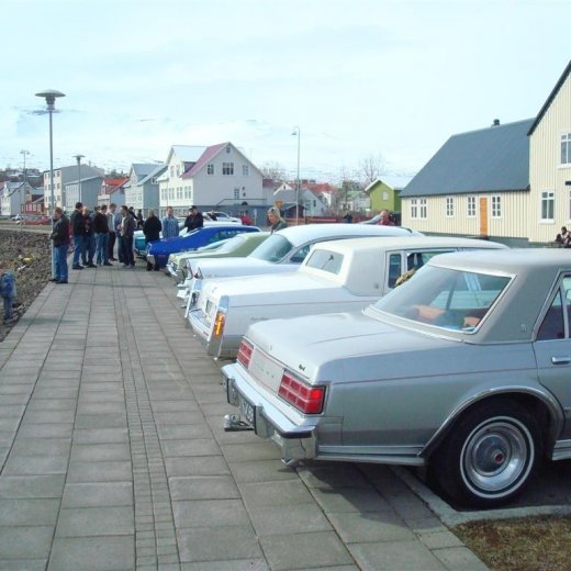 crop-23.04.2009_010__large_