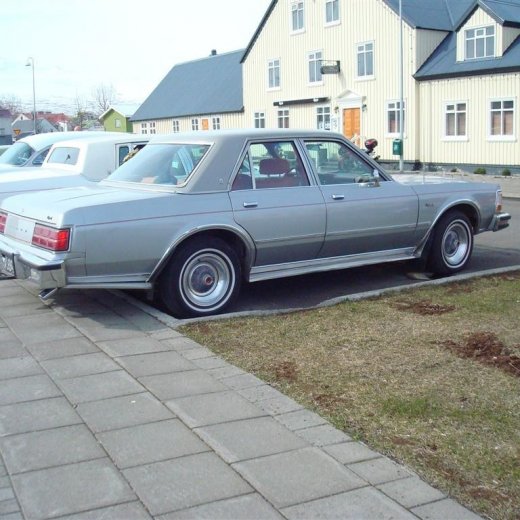 crop-23.04.2009_011__large_