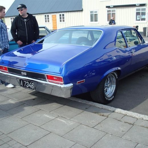 crop-23.04.2009_016__large_