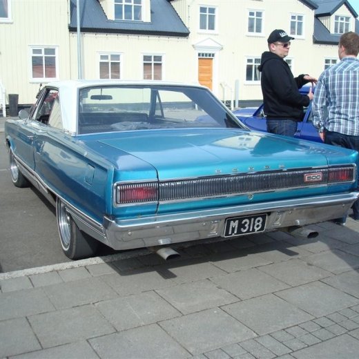 crop-23.04.2009_017__large_