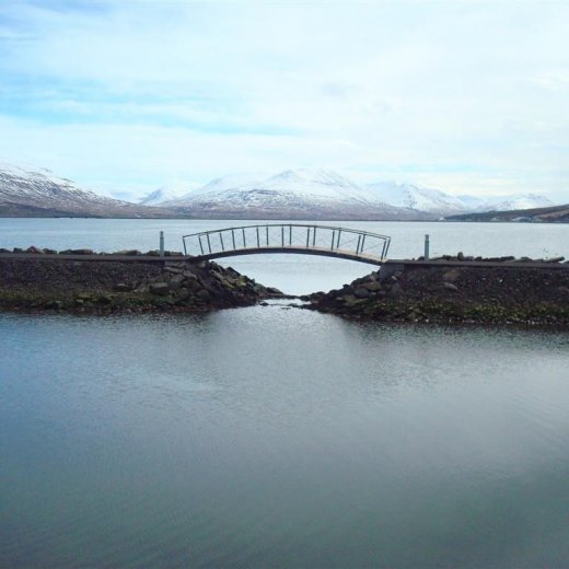 crop-23.04.2009_021__large_