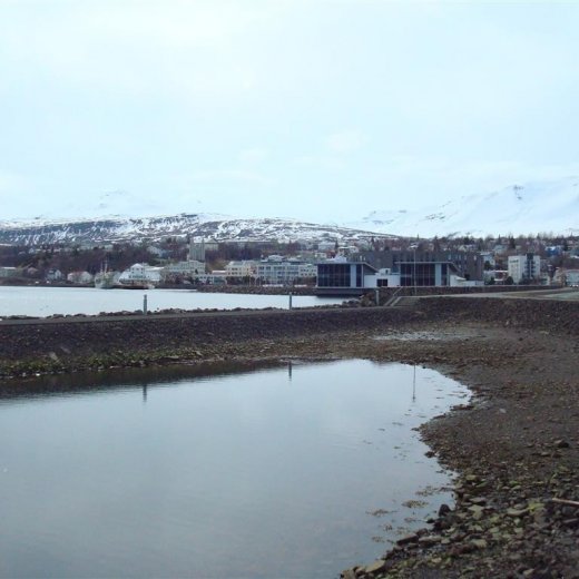 crop-23.04.2009_022__large_