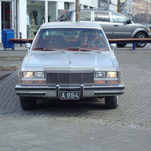 crop-23.04.2009_035__large_