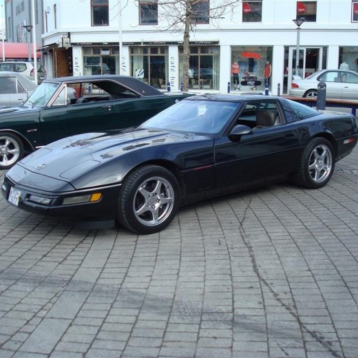 crop-23.04.2009_038__large_