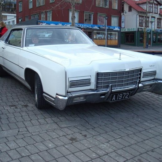 crop-23.04.2009_047__large_