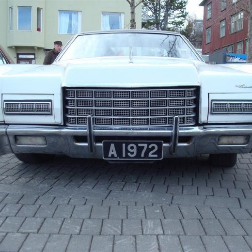 crop-23.04.2009_048__large_