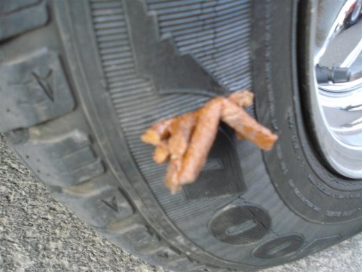 24.06.2009_049__large_