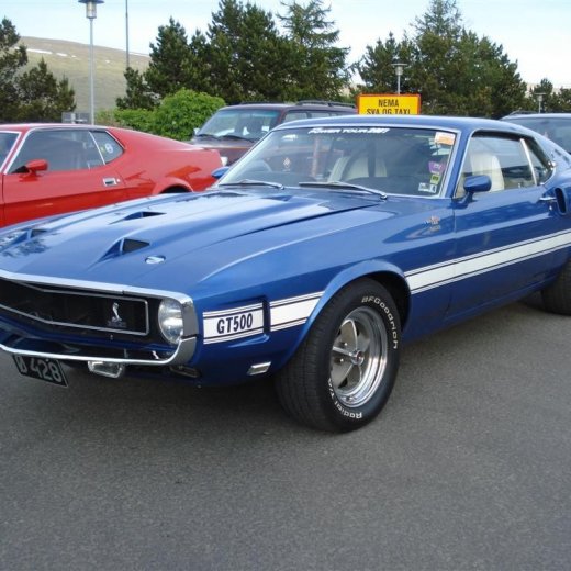 crop-24.06.2009_004__large_