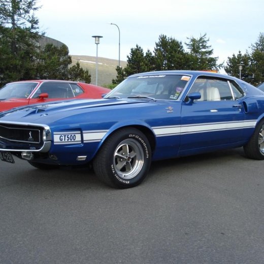 crop-24.06.2009_005__large_