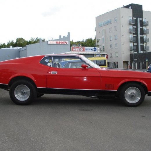 crop-24.06.2009_008__large_