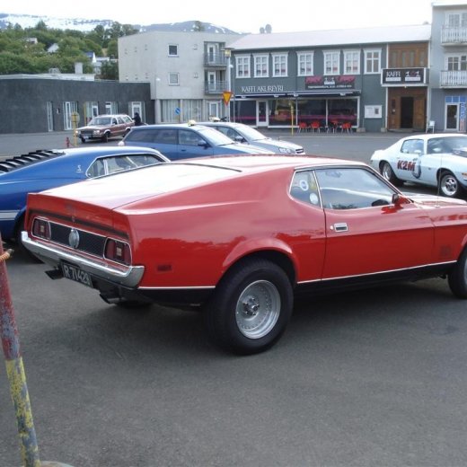 crop-24.06.2009_010__large_