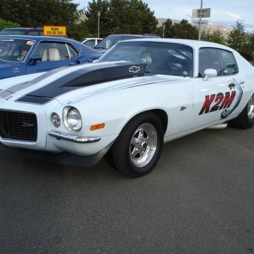 crop-24.06.2009_011__large_