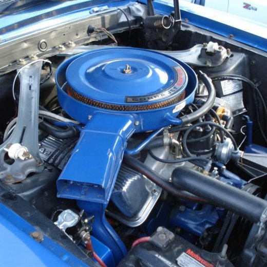 crop-24.06.2009_012__large_