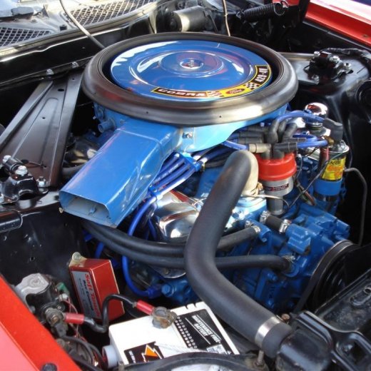 crop-24.06.2009_013__large_