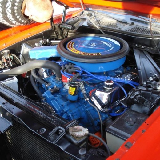 crop-24.06.2009_014__large_